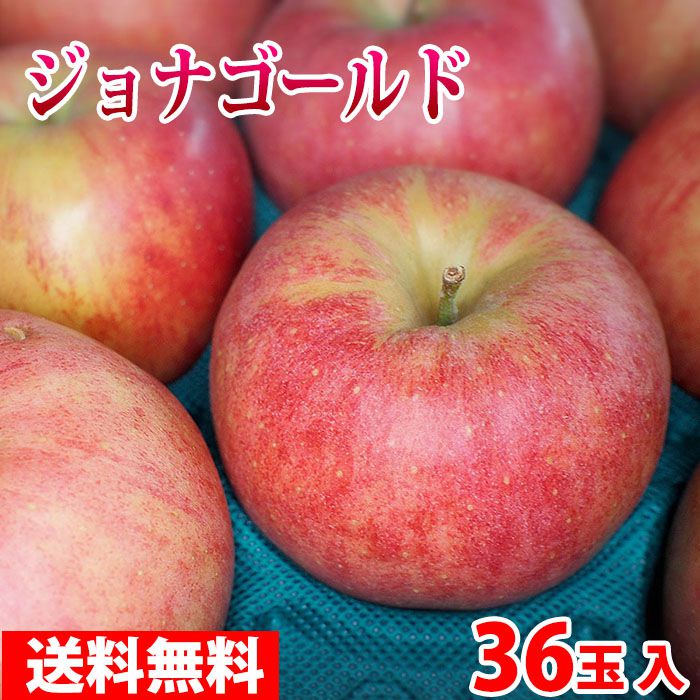 楽天市場 送料無料 青森県産 りんご ジョナゴールド 36玉サイズ 10kg Ca貯蔵 生鮮食品直送便
