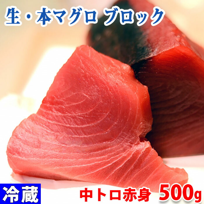 生 本マグロ 中トロ 赤身ブロック 約500g 国産 養殖 背側 新鮮な生の本マグロを中央卸売市場からお届け 八戸駅 思い切り振りにいった Diasaonline Com