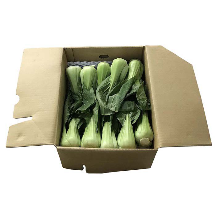楽天市場 送料無料 長野県産 青梗菜 チンゲンサイ Lサイズ 約2kg 1箱 16 株入 生鮮食品直送便