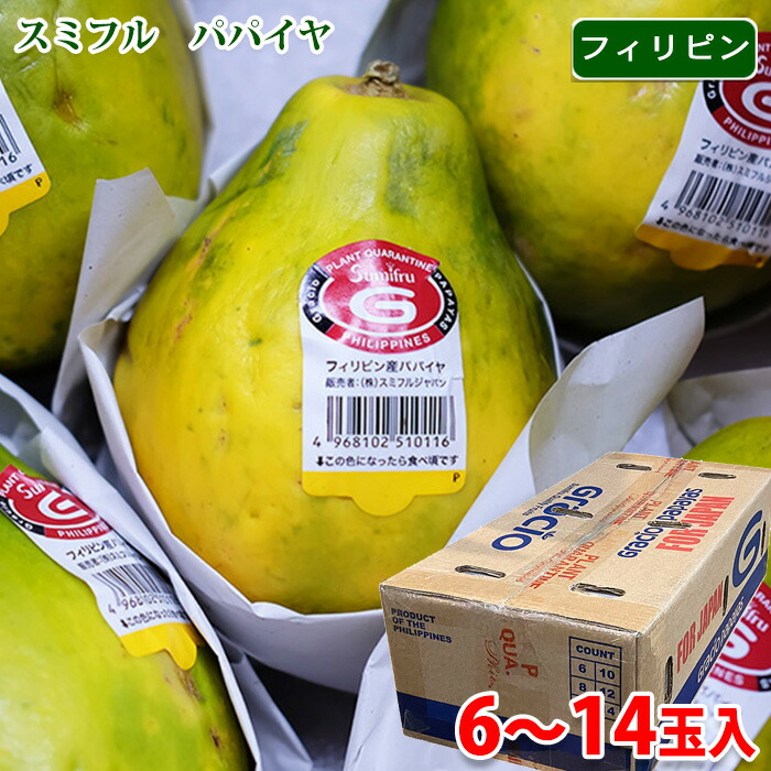 【送料無料】 スミフル　フィリピン産　パパイヤ　6～9玉入 / 10～14玉入り （箱）