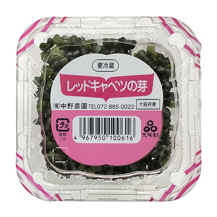 楽天市場 大阪府産 レッドキャベツの芽 10個入り 箱 生鮮食品直送便