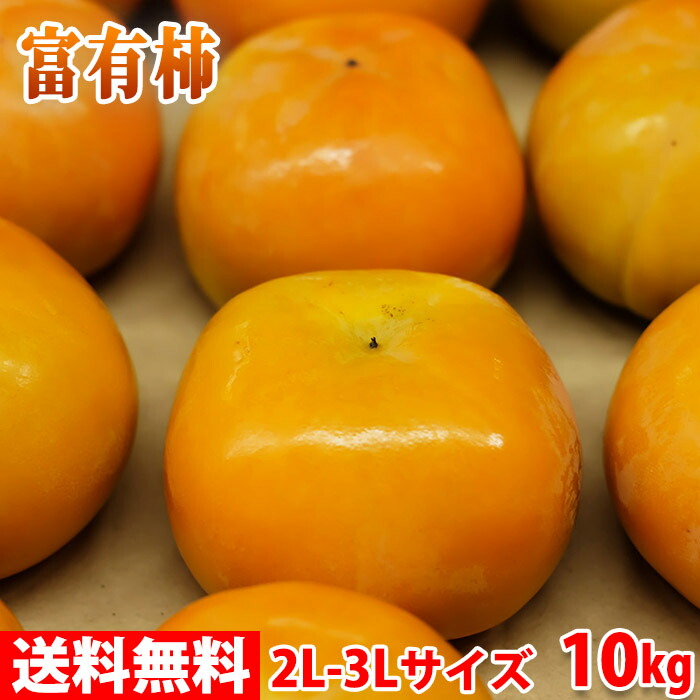 非売品 奈良県産 江戸柿 秀品 2L〜4Lサイズ 10kg qdtek.vn