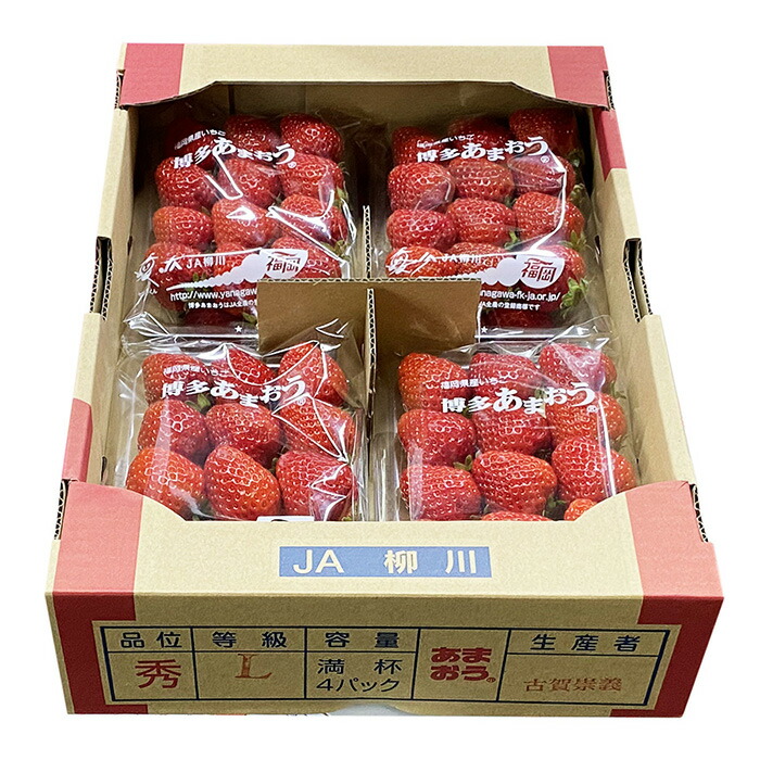 63%OFF!】 福岡県産 いちご あまおう 秀品 Lサイズ 270g×4パック qdtek.vn