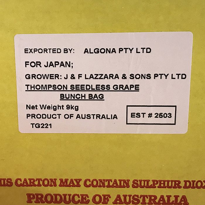 オーストラリア産　種無しぶどう　トンプソン（シードレス）9kg