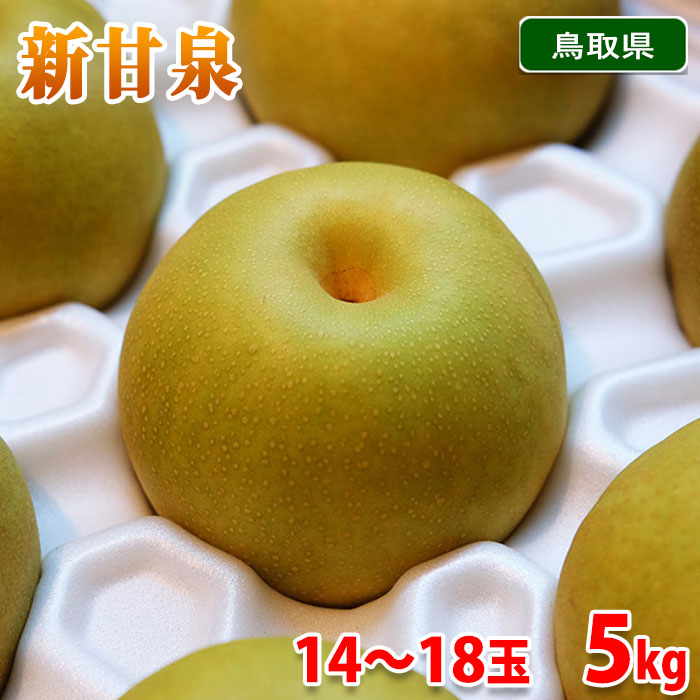 楽天市場】鳥取産 新甘泉梨 しんかんせんなし 約5kg 大玉10〜12