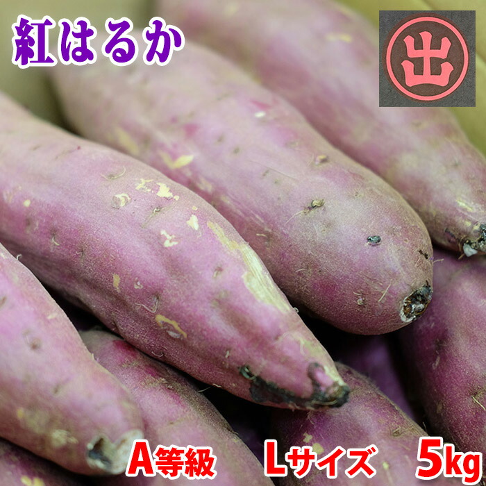 楽天市場】千葉県産（JAかとり）さつまいも 紅はるか 秀品 Mサイズ 約