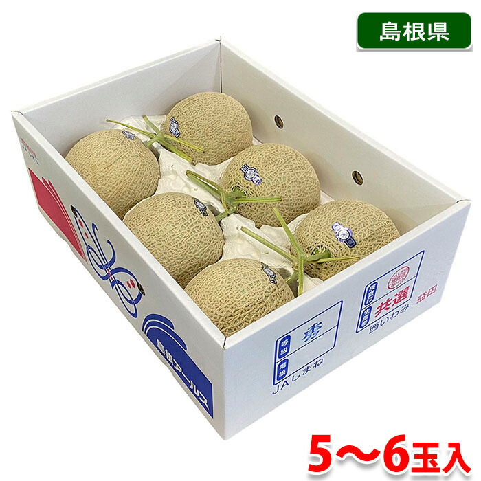 楽天市場】【送料無料】 長崎県産 パパイヤメロン 秀品 7〜9玉入