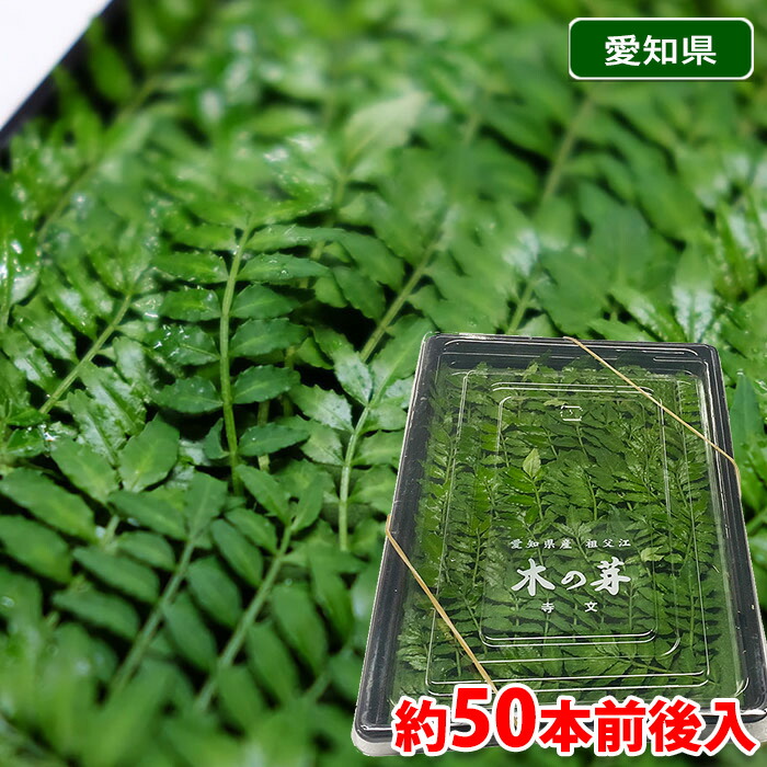 楽天市場】木の芽（きのめ・山椒の葉） 1パック 国産 : 大津留青果