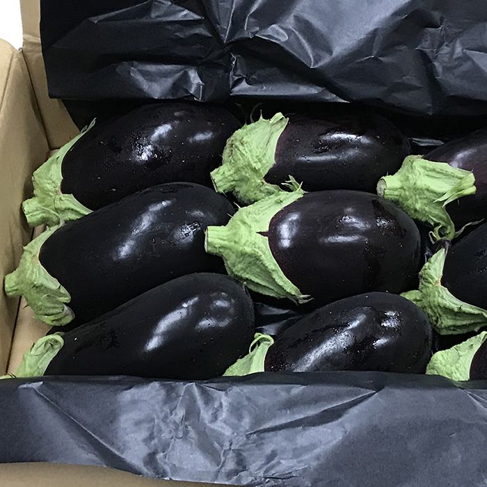 楽天市場 高知県産 米なす べいなす Mサイズ 2 5kg 9玉入 生鮮食品直送便