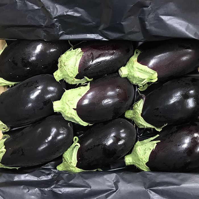 楽天市場 高知県産 米なす べいなす Mサイズ 2 5kg 9玉入 生鮮食品直送便