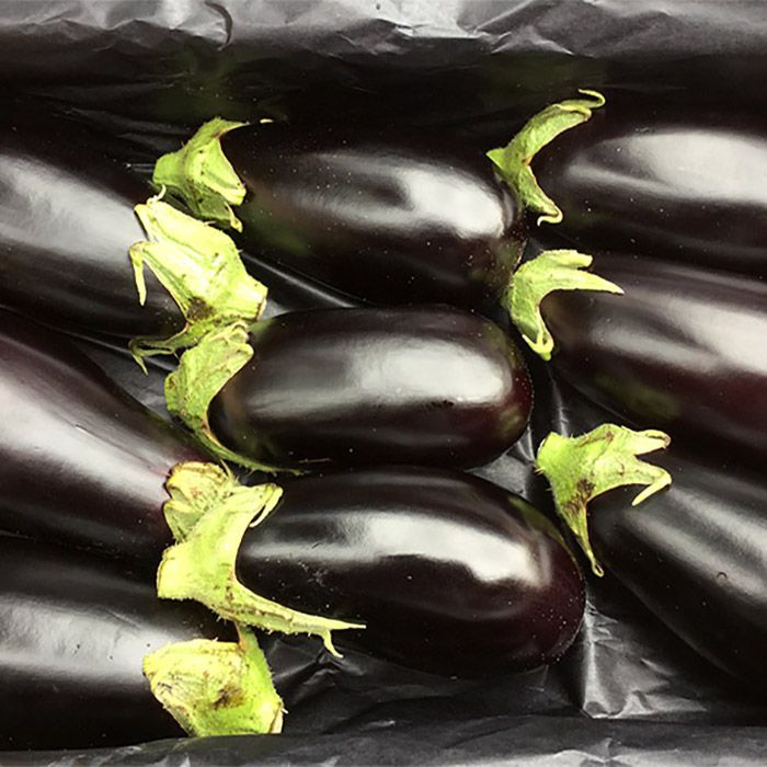 楽天市場 高知県産 米なす べいなす Mサイズ 2 5kg 9玉入 生鮮食品直送便