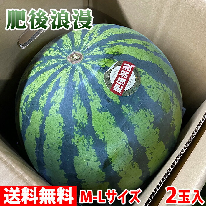 【送料無料】 熊本県産　すいか　肥後浪漫　秀品　M～Lサイズ　2玉入（箱）