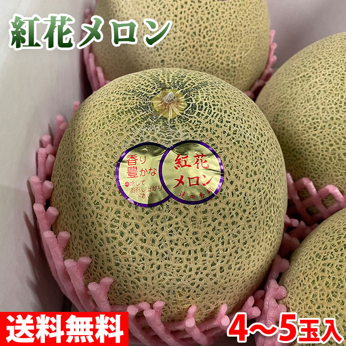 宮崎温室 赤肉メロン 3Lサイズ 5玉 光センサー