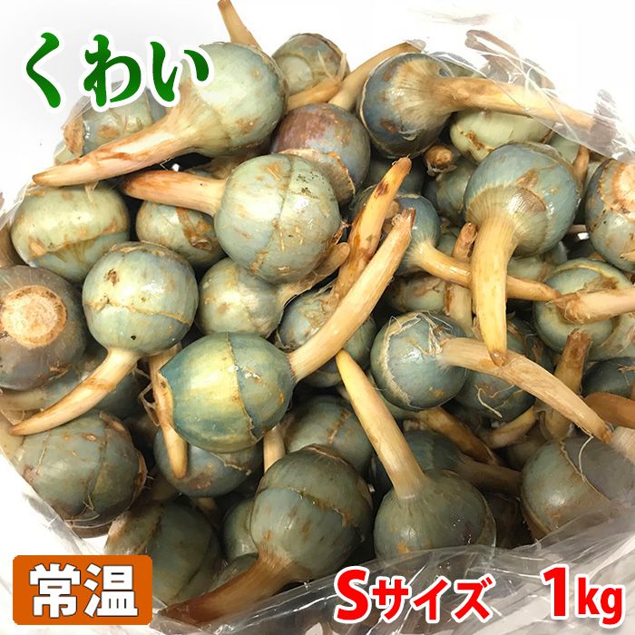 楽天市場】大分県産 ぎんなん 500g ネット : 生鮮食品直送便