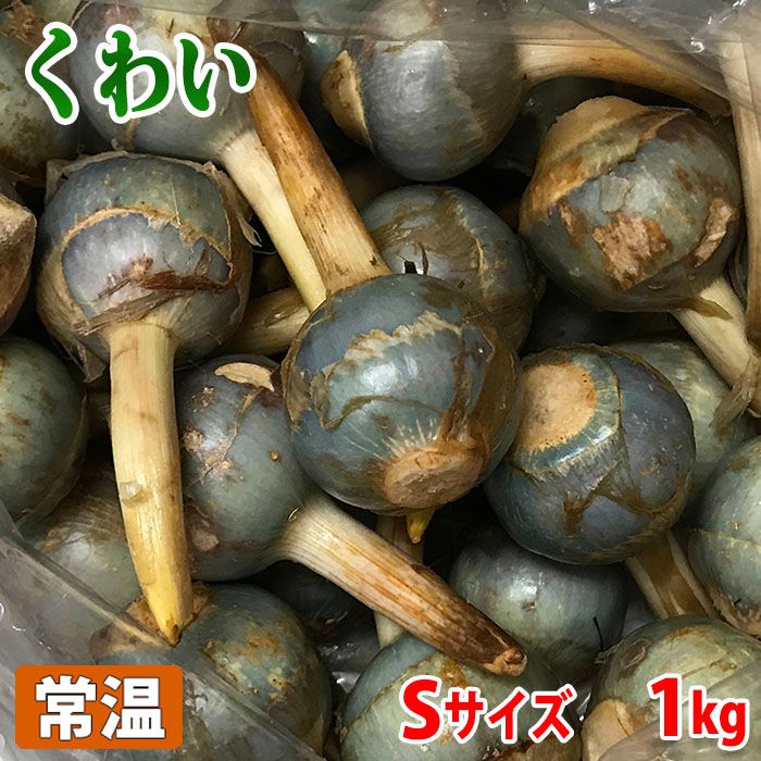 【楽天市場】埼玉県産 くわい(クワイ・慈姑) 秀品 Sサイズ 約1kg 袋入り 送料無料:生鮮食品直送便