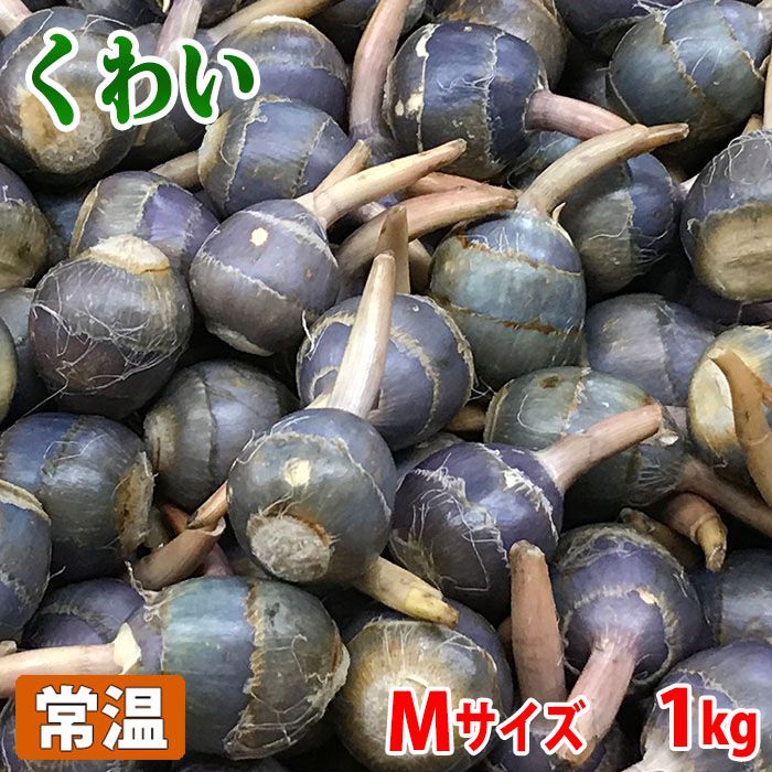 【楽天市場】大阪府産 くわい (クワイ・慈姑) 秀品 Mサイズ 約1kg (袋詰め) 国産 生くわい 送料無料:生鮮食品直送便