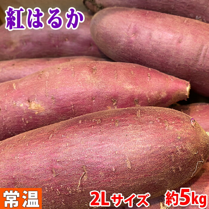 千葉県産 さつまいも 紅はるか 秀品 2Lサイズ 約8本入 約4.5〜5kg ディスカウント