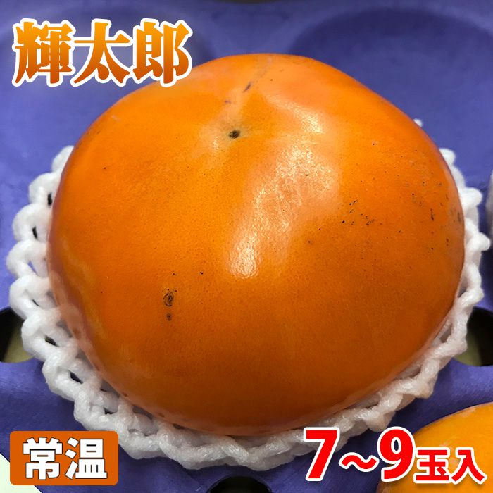 非売品 奈良県産 江戸柿 秀品 2L〜4Lサイズ 10kg qdtek.vn