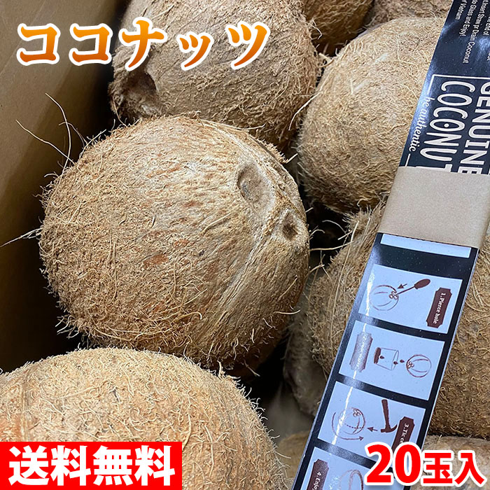 楽天市場】【送料無料】メキシコ産 ライム LIMON PERSA（リモン