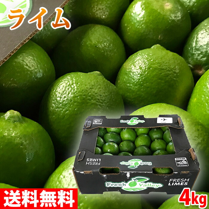 【送料無料】 メキシコ産　ライム　LIMON PERSA（リモン・ペルサ） 4kg （約40～44玉入り）