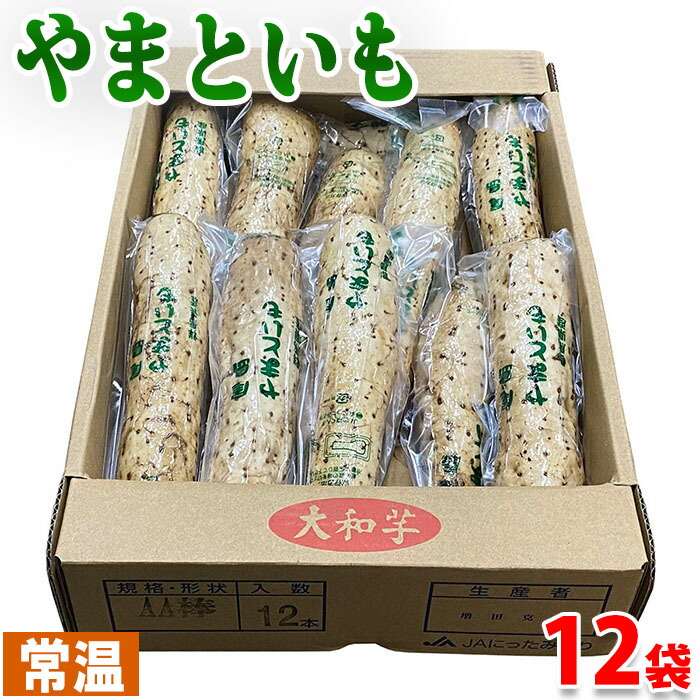 楽天市場】【送料無料】群馬県産 大和芋（やまといも） A棒 約200g×20