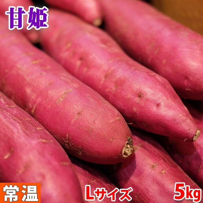 徳島県産（JA徳島市・川内）さつまいも　なると金時　「甘姫」　秀品　Lサイズ　約5kg（18～19本前後入）箱入り 送料無料