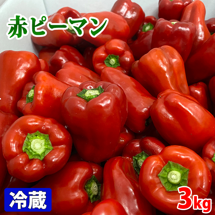 楽天市場 高知県産 赤ピーマン 3kg 箱 生鮮食品直送便