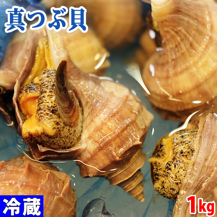 楽天市場 北海道産 活 真ツブ貝 約1kg 5 6個 生鮮食品直送便