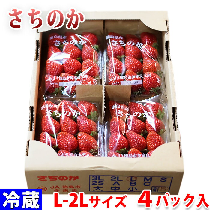 徳島県産 いちご さちのか L〜2Lサイズ 4パック入 福袋特集