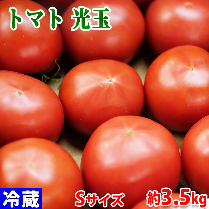 楽天市場】熊本県産 くまもと塩トマト （プレミアム） 約13玉入 （化粧箱） : 生鮮食品直送便