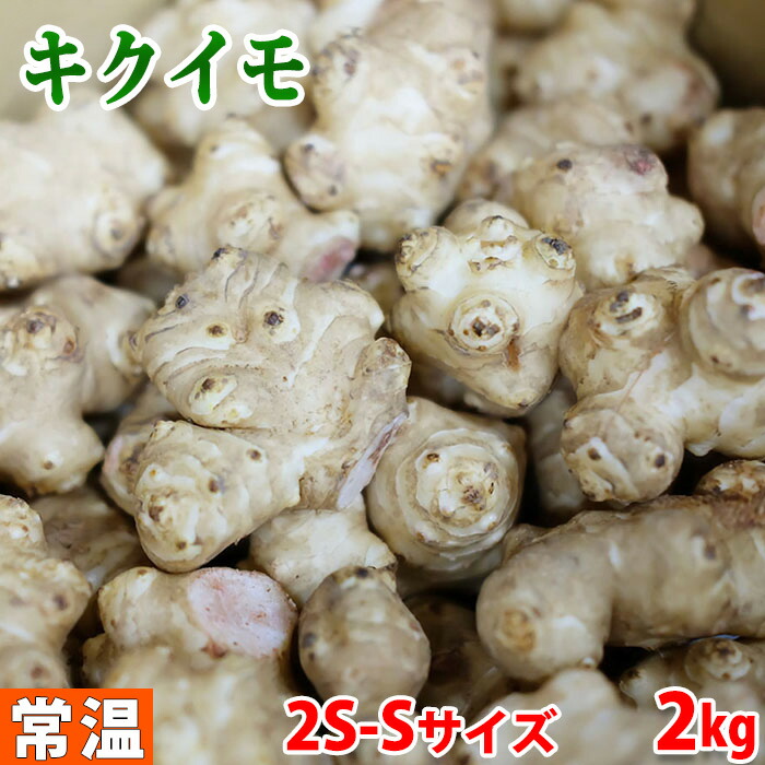 市場 高知県産 菊芋 キクイモ A等級