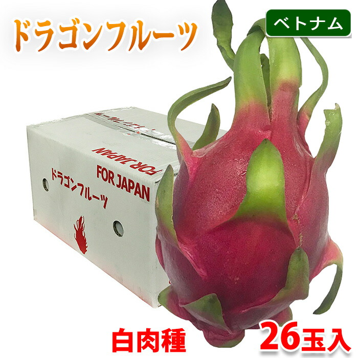 ドラゴンフルーツ 20個 ドラゴンフルーツ 10kg 赤肉種 火龍果 20玉入 ケース販売 日出