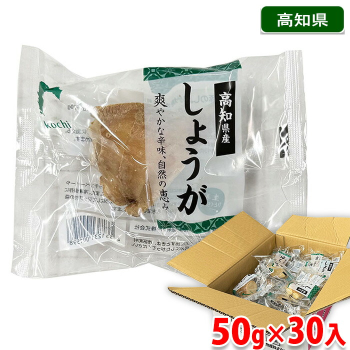【送料無料】 高知県産　しょうが （パック） 50gパック×30入 （箱） 国産 生姜