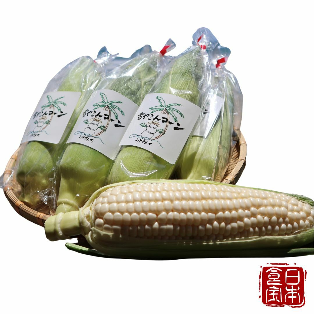 【鹿児島県産】白いとうもろこし「雪やこんコーン」18本入 （産地直送）※着日指定不可