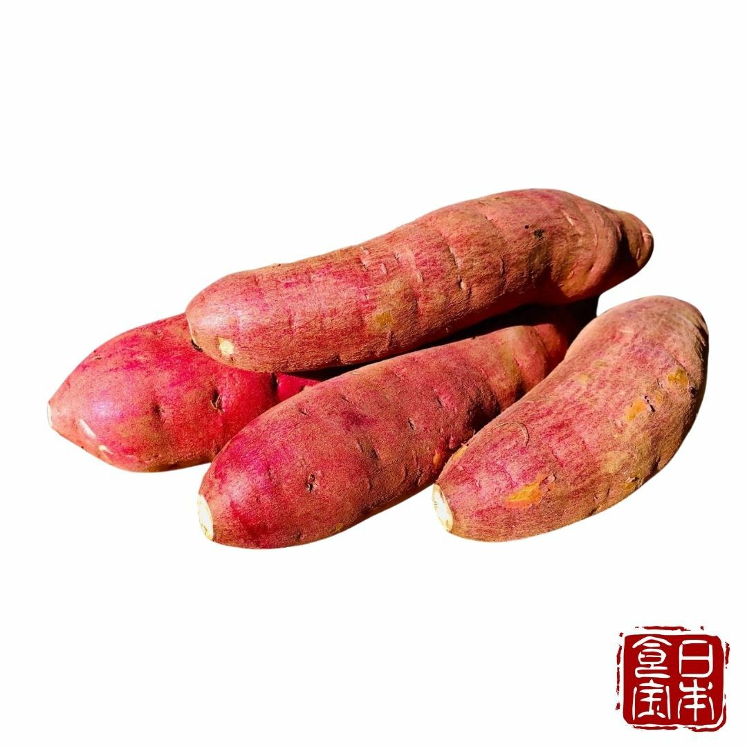 価格相談】早稲田文学 フリーペーパーVol.01〜10 角田光代 斎藤美奈子