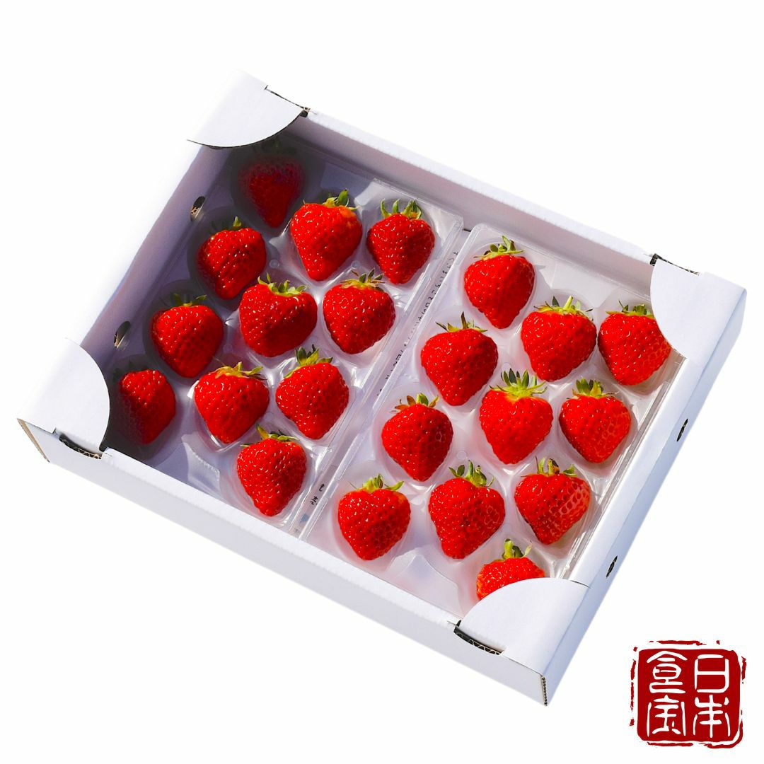 【新潟県産】自宅用いちご中粒 越後姫 もぐもぐパック 200g(9～15粒)×2パック (産地直送)