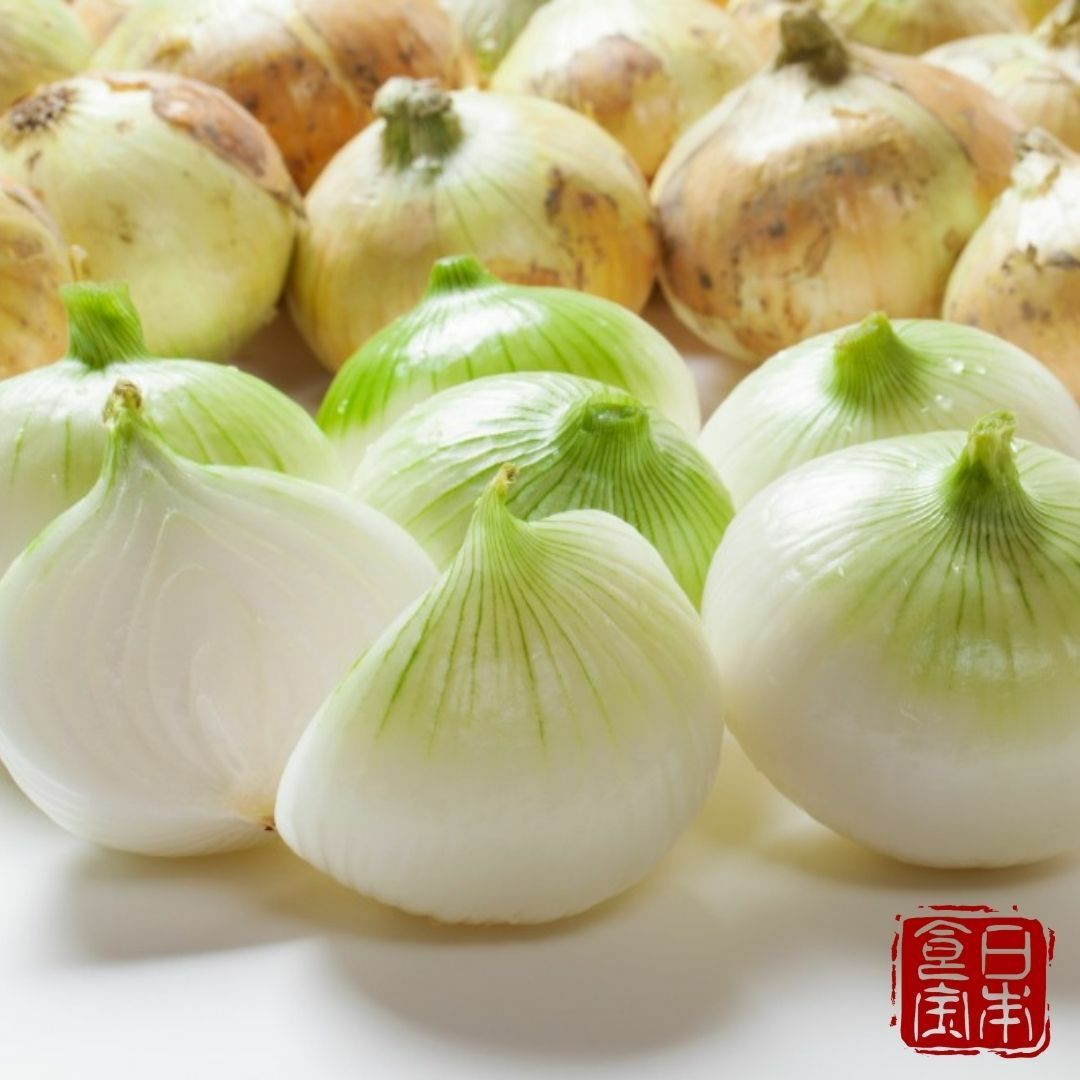 【淡路島産】新玉ねぎ シャーロットオニオン画像