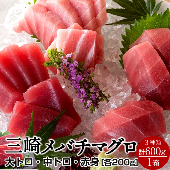 まぐろ 天然 メバチマグロ 三大部位 詰合せ 600g［大トロ1、中トロ1、赤身1］鮪セット 刺身用 三浦三崎 マグロ 詰め合わせ 神奈川県産 通販 ご当地 お取り寄せ 産直 グルメ［産直ギフト お祝い］