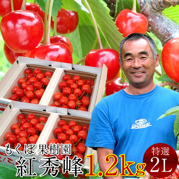 さくらんぼ 紅秀峰 1.2kg＼お中元予約 7月下旬お届け／最高級 秀品【特選2L/L】600g×2箱セット 完熟 高糖度 大玉 サクランボのふるさと 北海道 余市仁木町 優良生産者 もくぼ果樹園 べにしゅうほう［お中元 人気 ギフト 御中元2025］