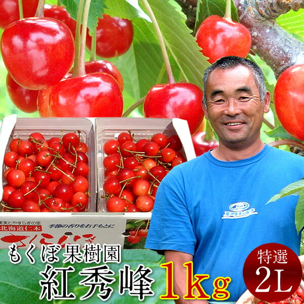 さくらんぼ 紅秀峰 1kg＼お中元予約 7月下旬お届け／最高級 秀品【特選2L/L】500g×2P 完熟 高糖度 大玉 サクランボのふるさと 北海道 余市仁木町 優良生産者 もくぼ果樹園 べにしゅうほう［お中元 人気 ギフト 御中元2024］
