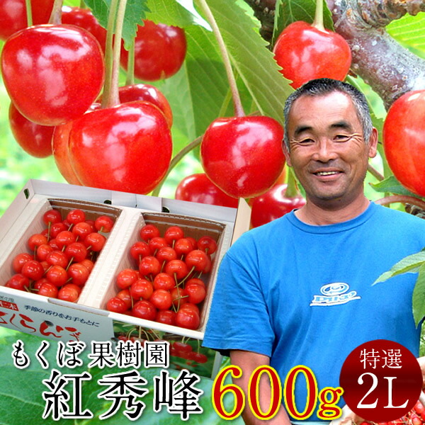 さくらんぼ 紅秀峰 600g＼お中元予約 7月下旬お届け／最高級 秀品【特選2L/L】300g×2P 完熟 高糖度 大玉 サクランボのふるさと 北海道 余市仁木町 優良生産者 もくぼ果樹園 べにしゅうほう［お中元 人気 ギフト 御中元2025］