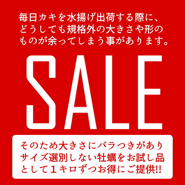 1350円 完成品 牡蠣 訳あり 規格外 3kg 加熱用 殻付き牡蛎 漁師直送 カキ 生かき 三陸 宮城県産 鮮度抜群 お取り寄せ 東北 お土産 海鮮  海の幸 産地直送 送料無料 プレゼント お歳暮 ギフト