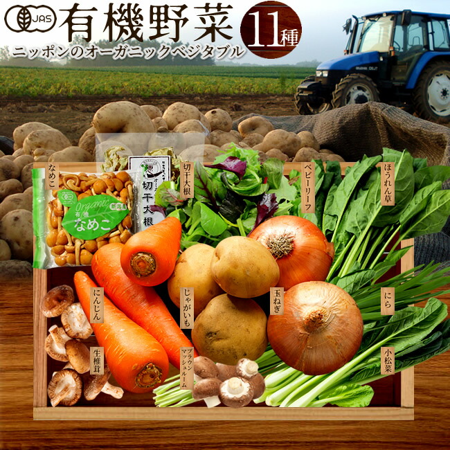 【お野菜セット】 楽天市場】おとなりさんち 旬の野菜 ボックス Mサイズ 約10～12品無