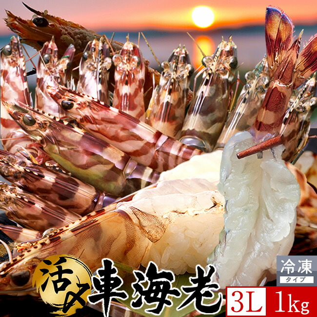 車海老 刺身［旬えび］活〆冷凍 特大【3L】1kg［15-23尾］天草 島育ち 車えび 熊本県産 大矢野島 クルマエビ 養殖場 生食 しゃぶしゃぶ エビフライ 直売所 産地直送 旬 食べ方 塩焼き おすすめ お取り寄せ通販［父の日 お中元ギフト］