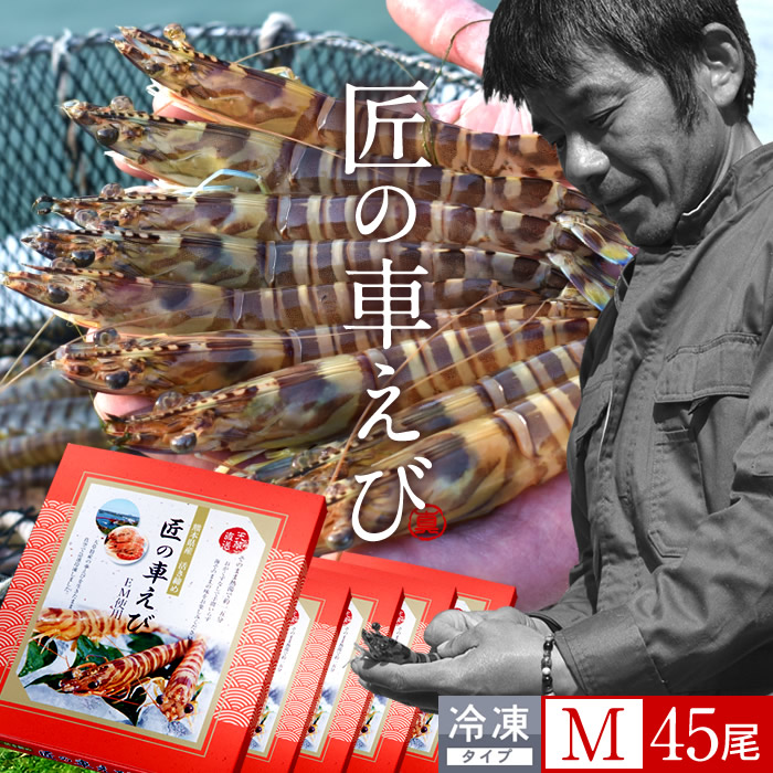 最安値に挑戦 楽天市場 エビ おうち時間グルメ くるまえび 車海老 活〆冷凍 車えび M 9尾入 250g 5p 計45尾 車エビ 生冷凍 刺身用 クルマエビの本場 熊本県天草 養殖場直送 おすすめ人気通販 産直 高級ギフト 匠の車えび 丸山えび 送料無料 母の日 ギフト
