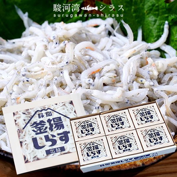 ギフト】 生シラス 鮮度バツグン 産地直送の駿河湾 由比 生しらす