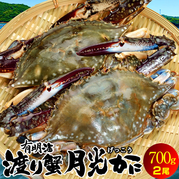 わたりがに ワタリガニ 有明海 月光かに 約700g前後 特大2l 2尾 生 渡り蟹 熊本県上天草市串港 ガザミ ガネ カニ漁師 活〆冷凍 送料無料 父の日 プレゼント ギフト お中元 septicin Com