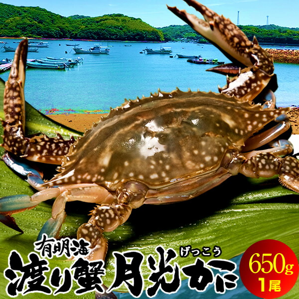 わたりがに ワタリガニ 有明海 月光かに 約650g前後 大 生 渡り蟹 熊本県上天草市串港 ガザミ ガネ カニ漁師 活〆冷凍 送料無料 父の日 プレゼント ギフト お中元 Fmcholollan Org Mx