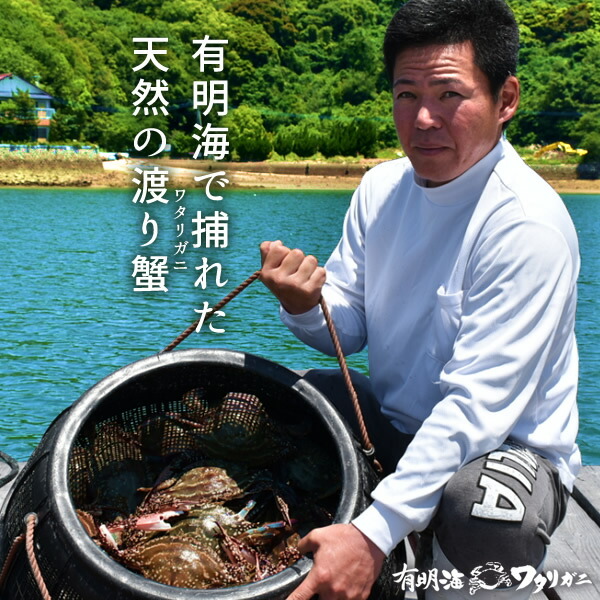 わたりがに ワタリガニ 有明海 月光かに 約700g前後 特大2l 2尾 生 渡り蟹 熊本県上天草市串港 ガザミ ガネ カニ漁師 活〆冷凍 送料無料 父の日 プレゼント ギフト お中元 Keshavconsulting Com