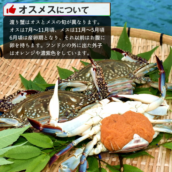 わたりがに ワタリガニ 有明海 月光かに 約700g前後 特大2l 2尾 生 渡り蟹 熊本県上天草市串港 ガザミ ガネ カニ漁師 活〆冷凍 送料無料 父 の日 プレゼント ギフト お中元 septicin Com